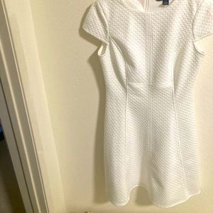 American Living Dress